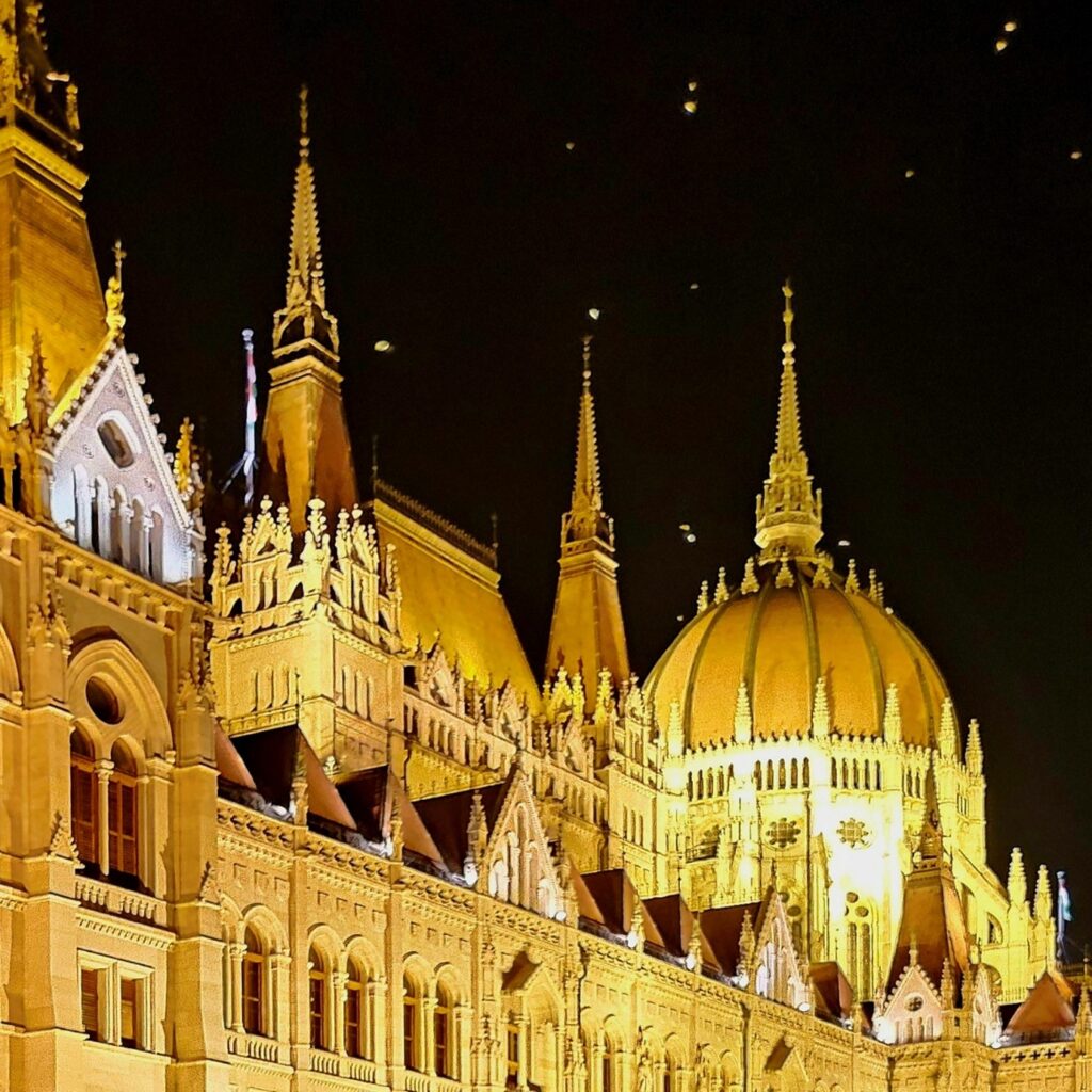 Flying creatures circling the Hungarian Parliament Building at night.